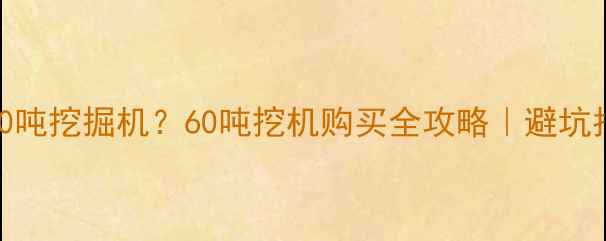图片 15万能买60吨挖掘机？60吨挖机购买全攻略｜避坑指南+价格1