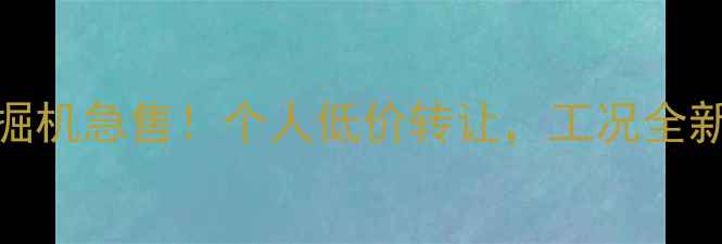 图片 200型二手挖掘机急售！个人低价转让，工况全新，支持过户1