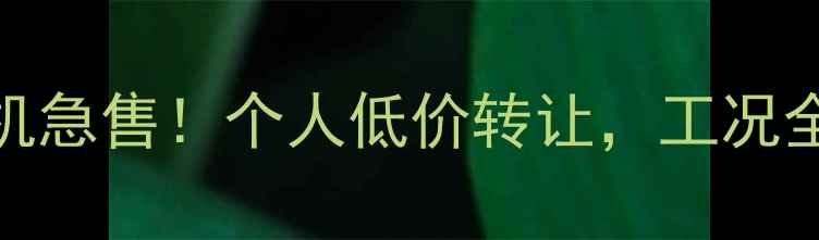 200型二手挖掘机急售个人低价转让工况全新支持过户