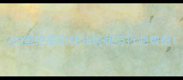 图片 220型挖掘机耗油现状与行业数据1