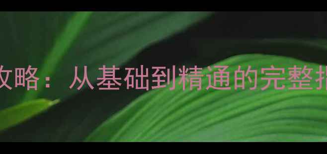 220型现代挖掘机操作与维护全攻略从基础到精通的完整指南附故障排除与安全操作