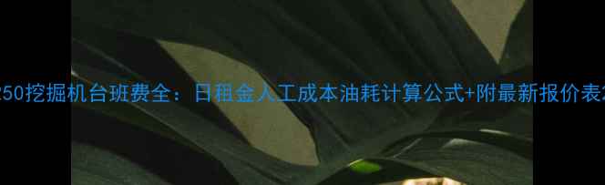 图片 250挖掘机台班费全：日租金人工成本油耗计算公式+附最新报价表2