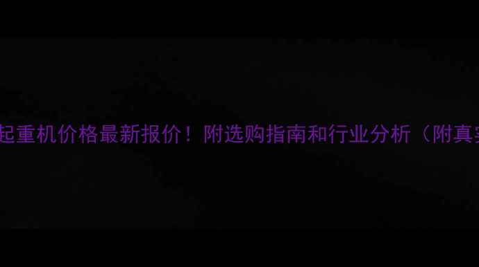 25吨轮胎起重机价格最新报价附选购指南和行业分析附真实案例