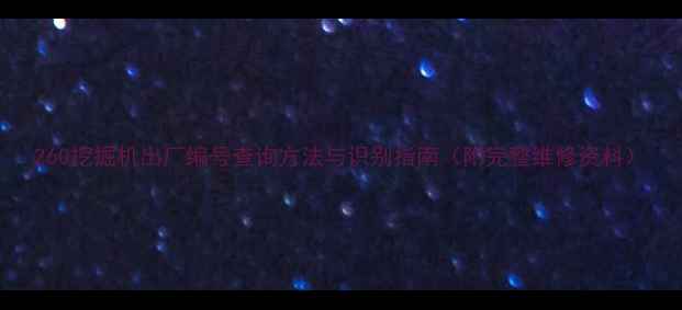 260挖掘机出厂编号查询方法与识别指南附完整维修资料