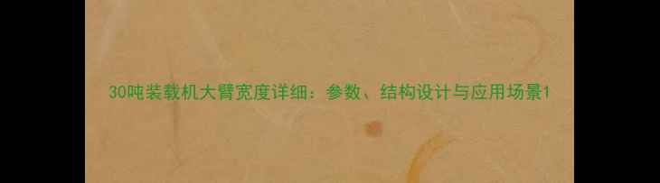 图片 30吨装载机大臂宽度详细：参数、结构设计与应用场景1
