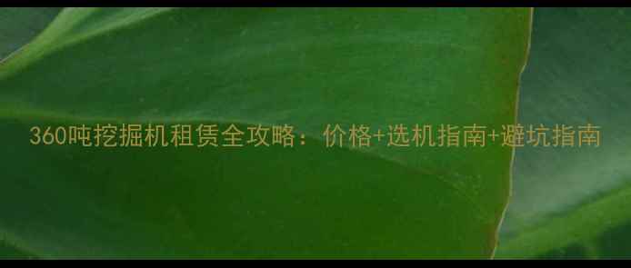 360吨挖掘机租赁全攻略价格选机指南避坑指南