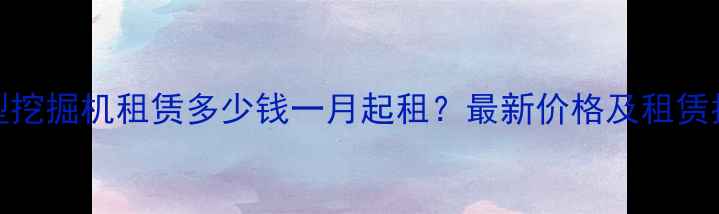 图片 50型挖掘机租赁多少钱一月起租？最新价格及租赁指南