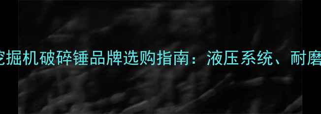 图片 53吨挖掘机破碎锤品牌选购指南：液压系统、耐磨性全1