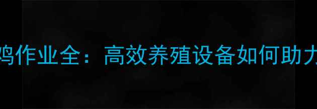 938装载机抓鸡作业全高效养殖设备如何助力现代农业