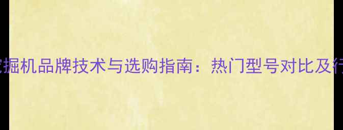 图片 Carter挖掘机品牌技术与选购指南：热门型号对比及行业应用2