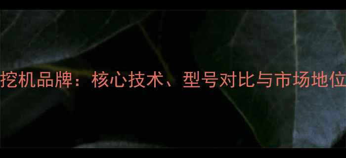 JCB挖机品牌核心技术型号对比与市场地位全