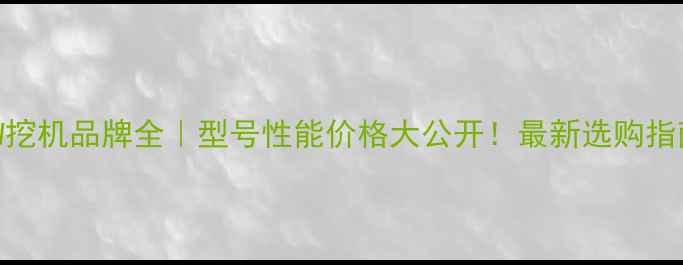 SW挖机品牌全型号性能价格大公开最新选购指南