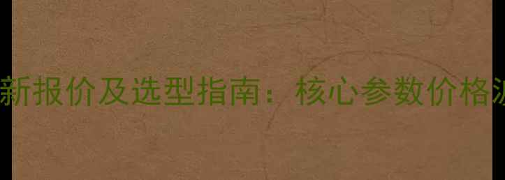 TD160Q斗式提升机最新报价及选型指南核心参数价格波动因素行业应用全