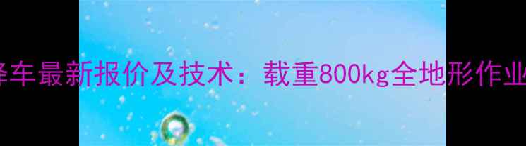 图片 e450aj升降车最新报价及技术：载重800kg全地形作业解决方案2