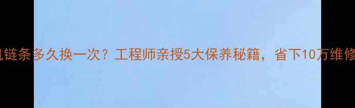 图片 ✅挖机链条多久换一次？工程师亲授5大保养秘籍，省下10万维修费！2