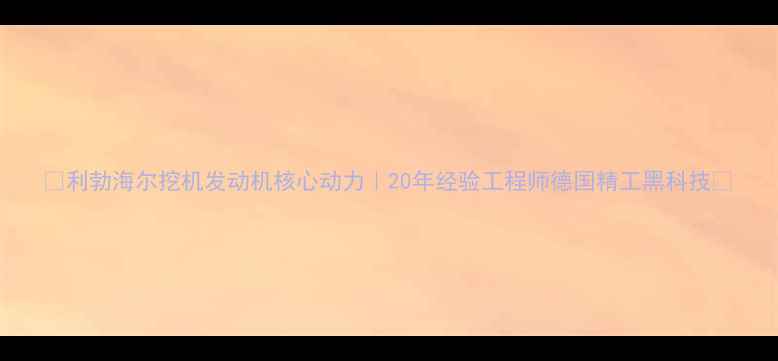 利勃海尔挖机发动机核心动力20年经验工程师德国精工黑科技