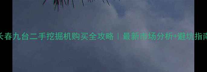 图片 ✨长春九台二手挖掘机购买全攻略｜最新市场分析+避坑指南🔧