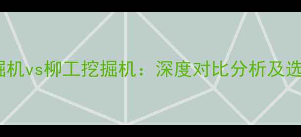 图片 三一挖掘机vs柳工挖掘机：深度对比分析及选购指南1