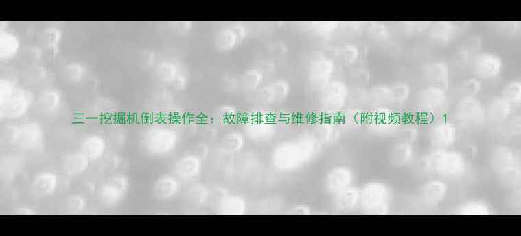 图片 三一挖掘机倒表操作全：故障排查与维修指南（附视频教程）1