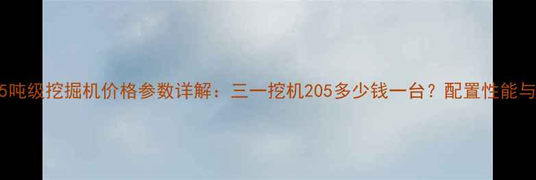 三一重工25吨级挖掘机价格参数详解三一挖机205多少钱一台配置性能与购买指南