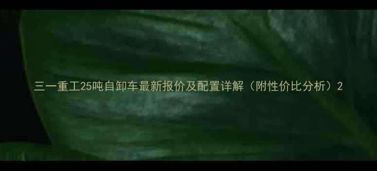 图片 三一重工25吨自卸车最新报价及配置详解（附性价比分析）2