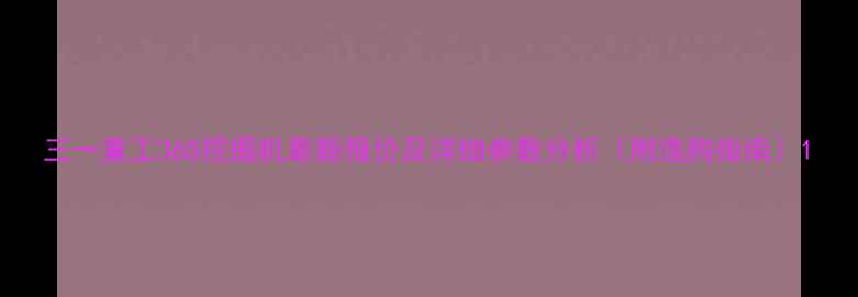 图片 三一重工365挖掘机最新报价及详细参数分析（附选购指南）1