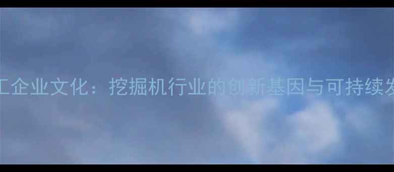 图片 三一重工企业文化：挖掘机行业的创新基因与可持续发展之路