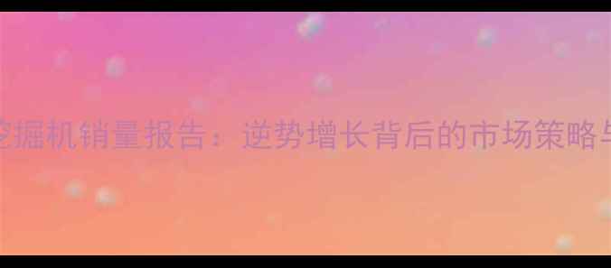 图片 三一重工挖掘机销量报告：逆势增长背后的市场策略与行业启示