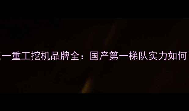 图片 三一重工挖机品牌全：国产第一梯队实力如何？