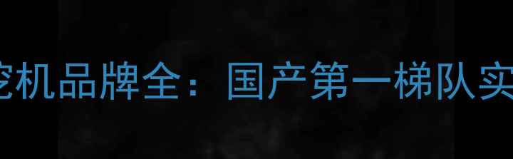 图片 三一重工挖机品牌全：国产第一梯队实力如何？1