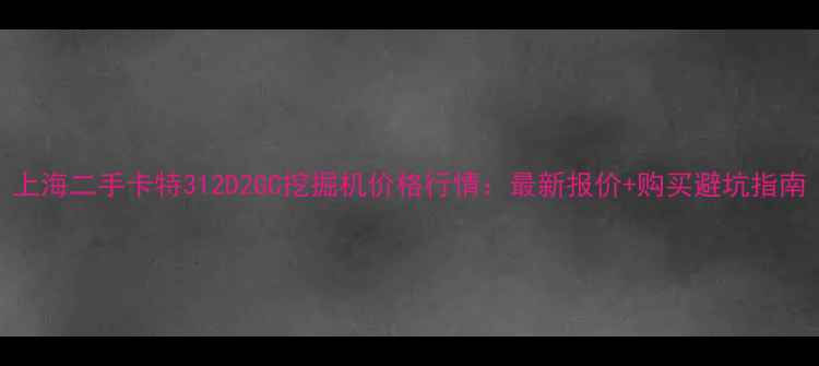 图片 上海二手卡特312D2GC挖掘机价格行情：最新报价+购买避坑指南