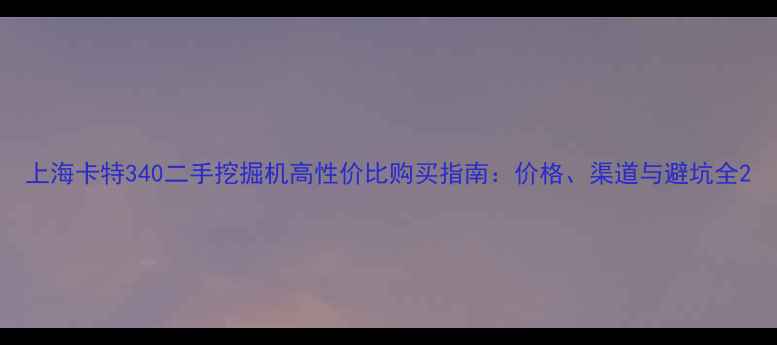 图片 上海卡特340二手挖掘机高性价比购买指南：价格、渠道与避坑全2