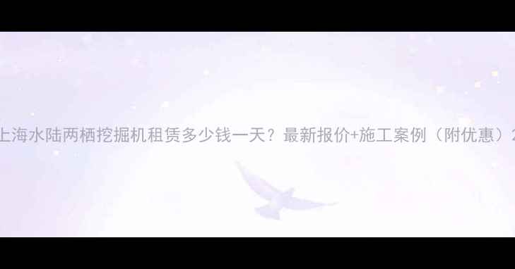 上海水陆两栖挖掘机租赁多少钱一天最新报价施工案例附优惠