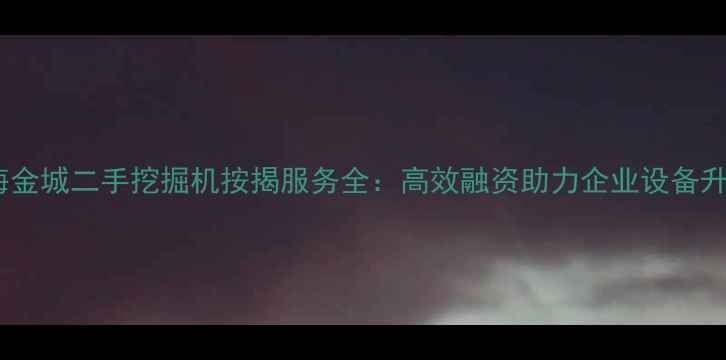 图片 上海金城二手挖掘机按揭服务全：高效融资助力企业设备升级1