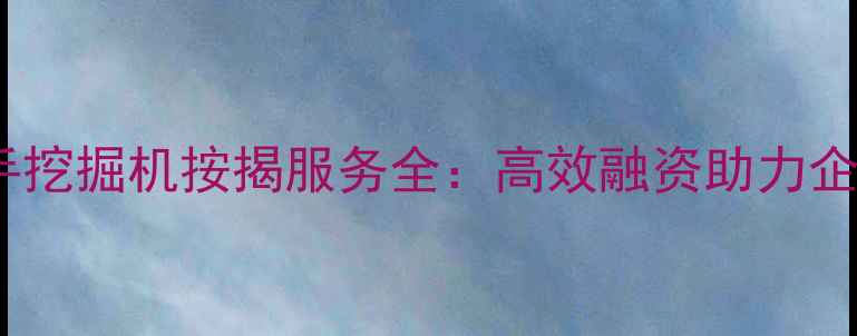 图片 上海金城二手挖掘机按揭服务全：高效融资助力企业设备升级2