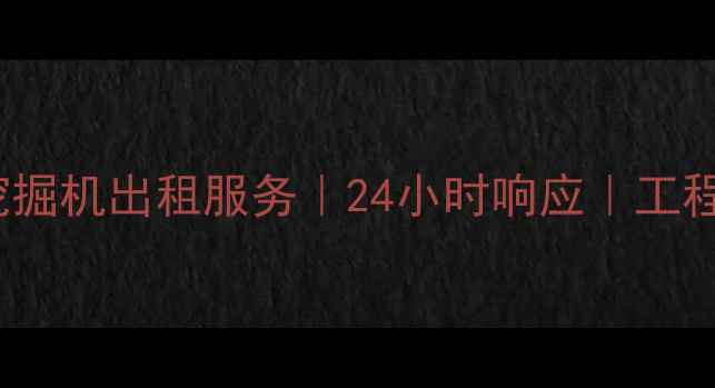 图片 专业租赁450型大型挖掘机出租服务｜24小时响应｜工程承包首选｜价格透明