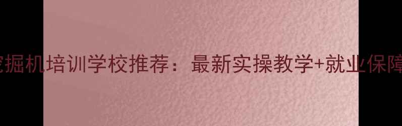 东莞挖掘机培训学校推荐最新实操教学就业保障指南
