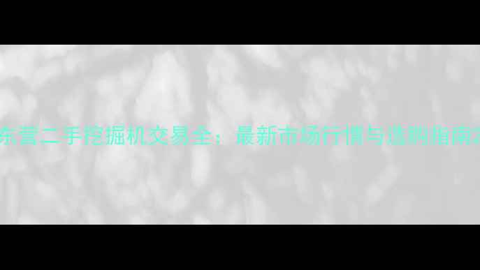 东营二手挖掘机交易全最新市场行情与选购指南