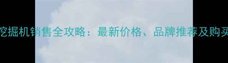 东营挖掘机销售全攻略最新价格品牌推荐及购买指南
