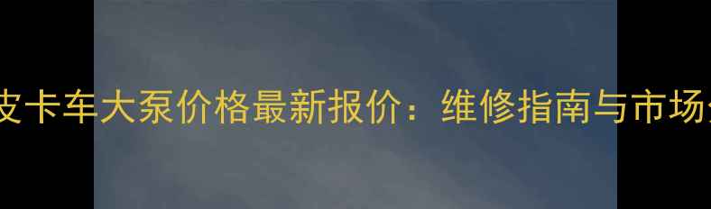 中兴皮卡车大泵价格最新报价维修指南与市场分析
