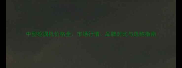 图片 中型挖掘机价格全：市场行情、品牌对比与选购指南