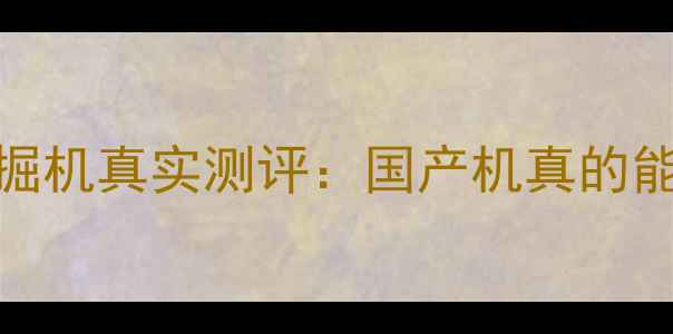 图片 中联重科ZL50C挖掘机真实测评：国产机真的能打吗？实测报告2