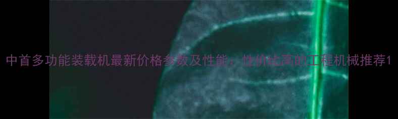 中首多功能装载机最新价格参数及性能性价比高的工程机械推荐