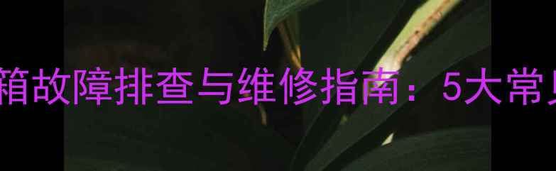 图片 临工50装载机燃油箱故障排查与维修指南：5大常见问题及保养技巧2