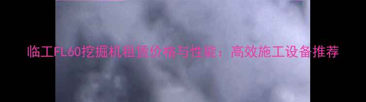 图片 临工FL60挖掘机租赁价格与性能：高效施工设备推荐