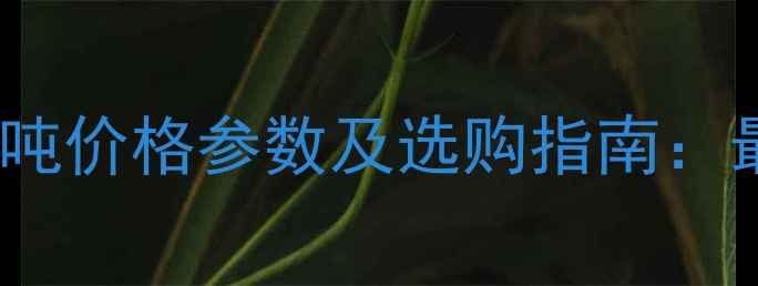 图片 临工装载机50吨价格参数及选购指南：最新市场分析2