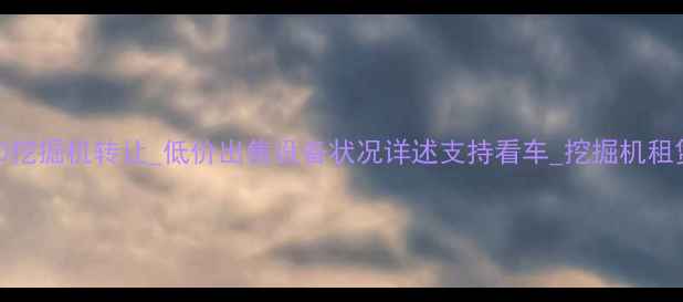 图片 临沂二手150挖掘机转让_低价出售设备状况详述支持看车_挖掘机租赁服务同步2