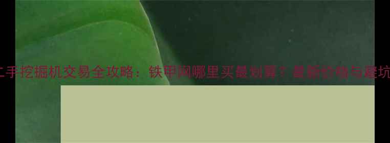 临沂二手挖掘机交易全攻略铁甲网哪里买最划算最新价格与避坑指南