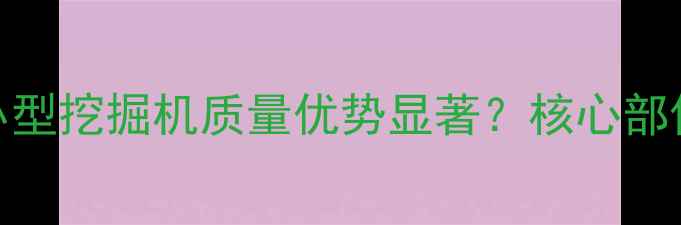 为什么三一重工小型挖掘机质量优势显著核心部件与用户口碑验证