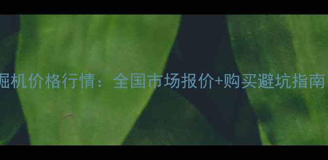 图片 二手三一大型挖掘机价格行情：全国市场报价+购买避坑指南（附最新数据）1